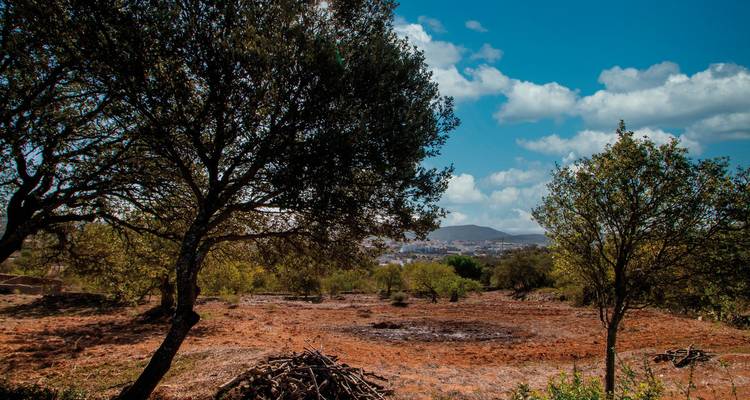 Hiking the highlights of the Algarve - DERTOUR 7
