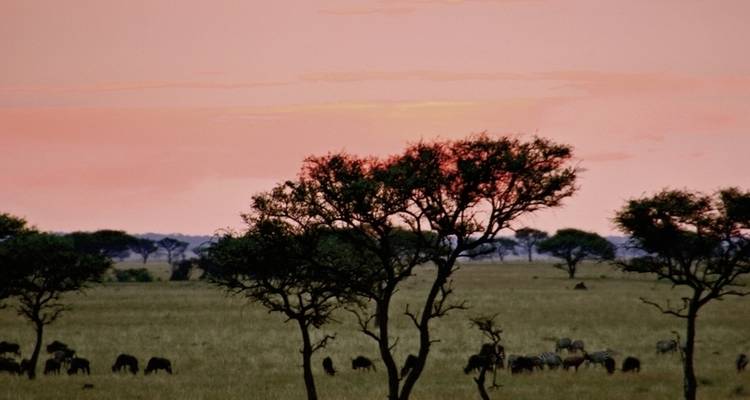 Aventura Tanzania - DERTOUR 5
