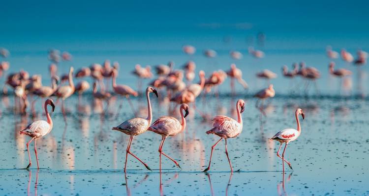 Aventura Tanzania - DERTOUR 1