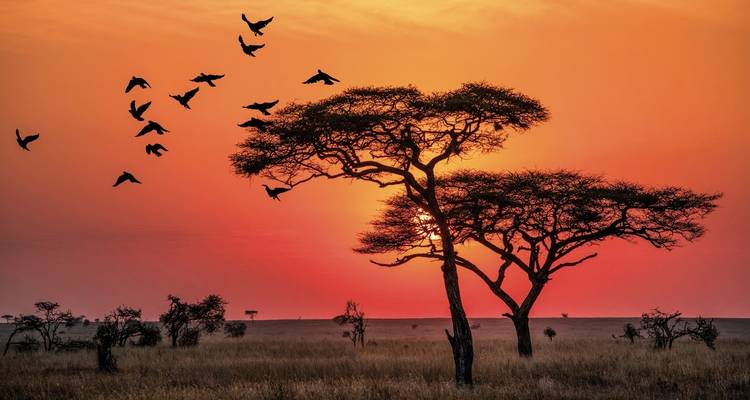 Aventura Tanzania - DERTOUR 8