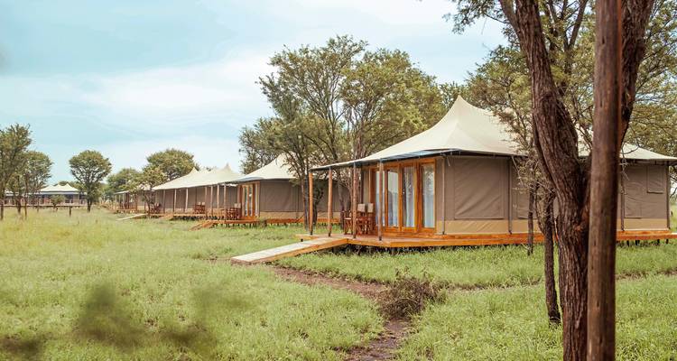 Rij luxe tenten in een grasrijk landschap.