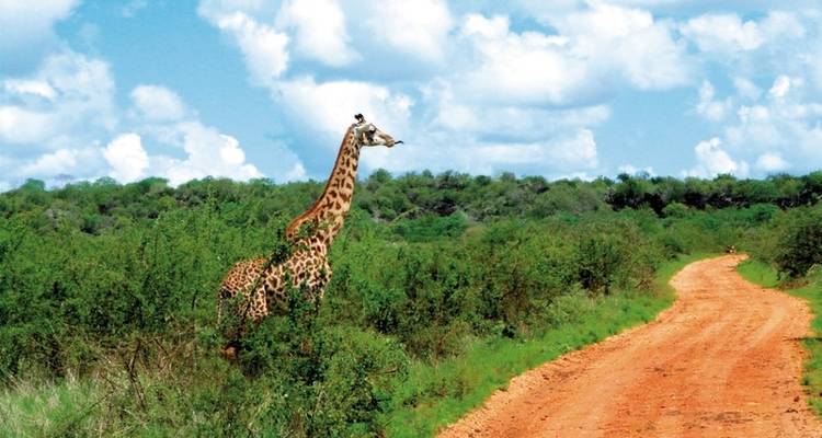 Aventure à Tsavo - DERTOUR 2