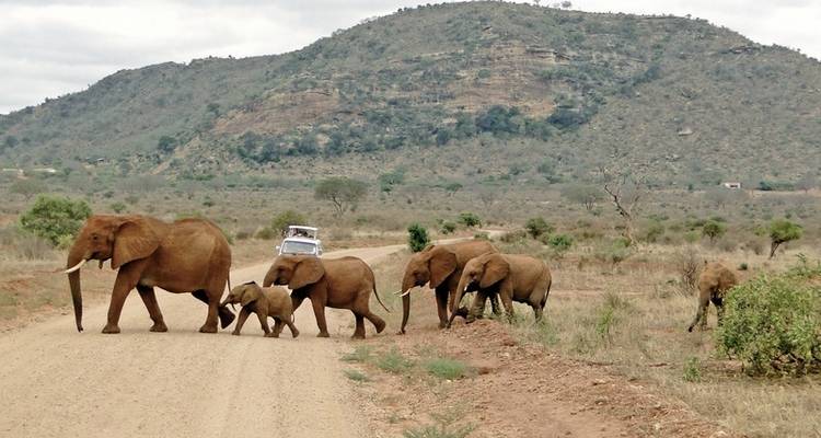 Aventure à Tsavo - DERTOUR 6