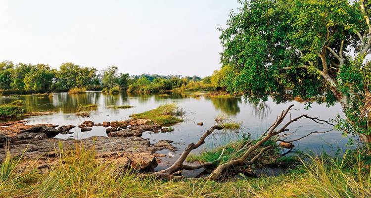 Malerische Aussicht auf einen ruhigen Fluss, umgeben von üppiger Vegetation.