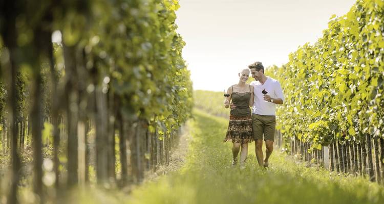 Paar wandelt durch Weinberge und hält Weingläser in den Händen.