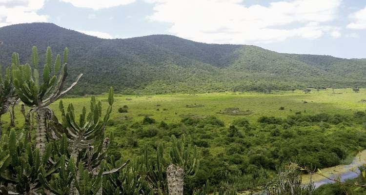 Garden Route to linger (Gqeberha (Port Elizabeth) - Cape Town) - DERTOUR 2