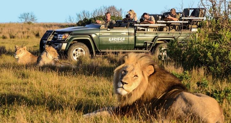 Garden Route to linger (Gqeberha (Port Elizabeth) - Cape Town) - DERTOUR 6