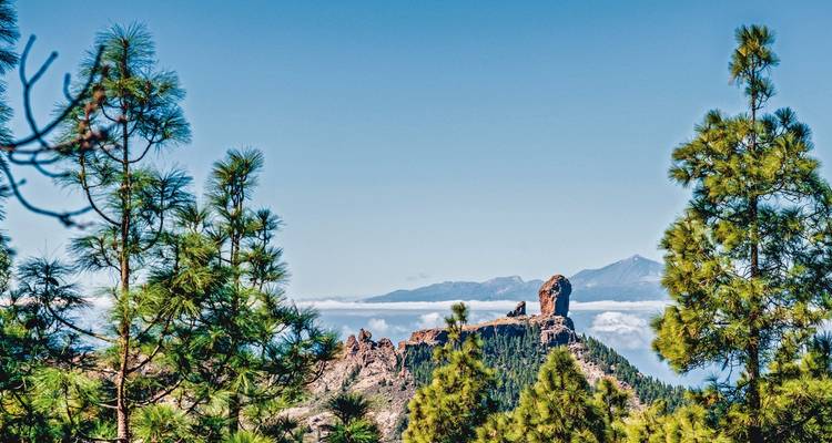 Randonnée dans les hauts lieux de Gran Canaria - DERTOUR 1