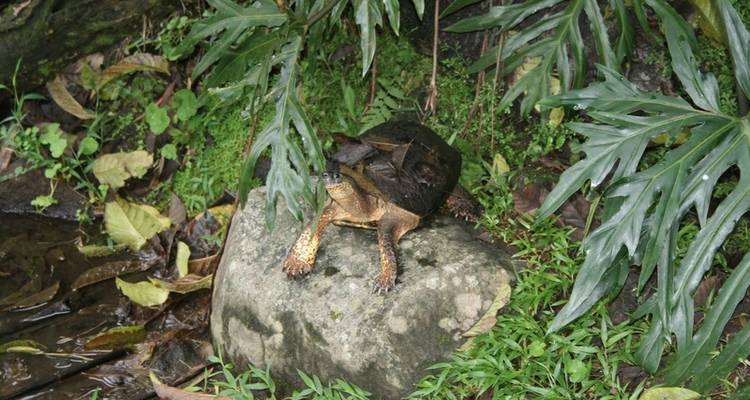 Arenal National Park - DERTOUR 7