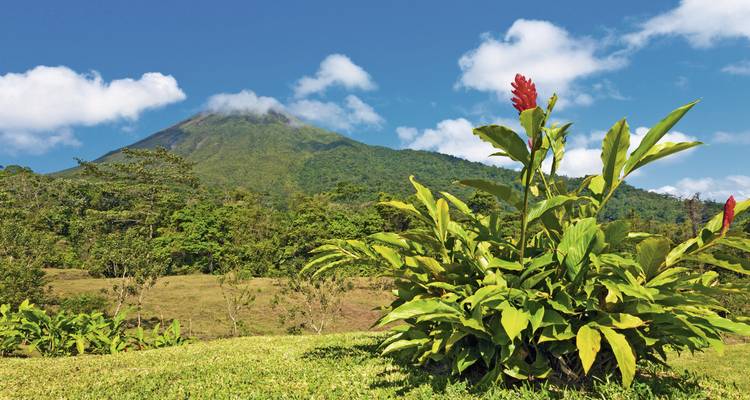 Arenal Volcano with lush flora in the foreground.