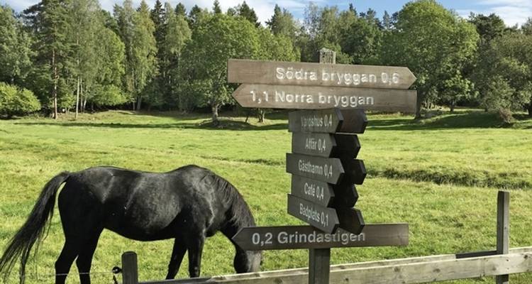 Stockholm - Le hoquet de l'île sur les bancs de sable - DERTOUR 5