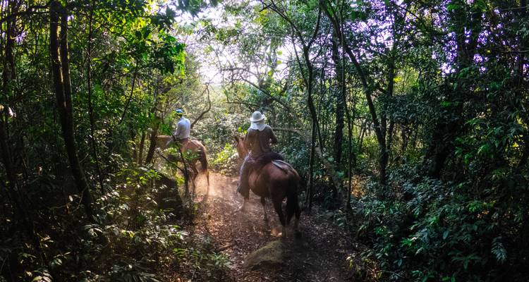 Dos personas a caballo en un sendero de bosque exuberante.
