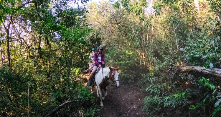 Dos individuos montando a caballo por un sendero del bosque.