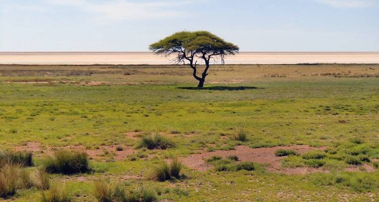 Viaje de ensueño Namibia - DERTOUR 5
