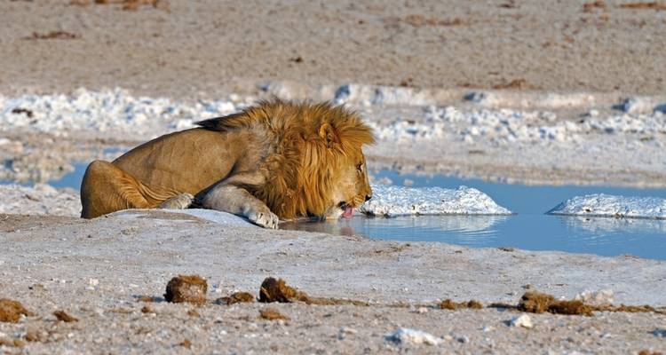 Viaje de ensueño Namibia - DERTOUR 4