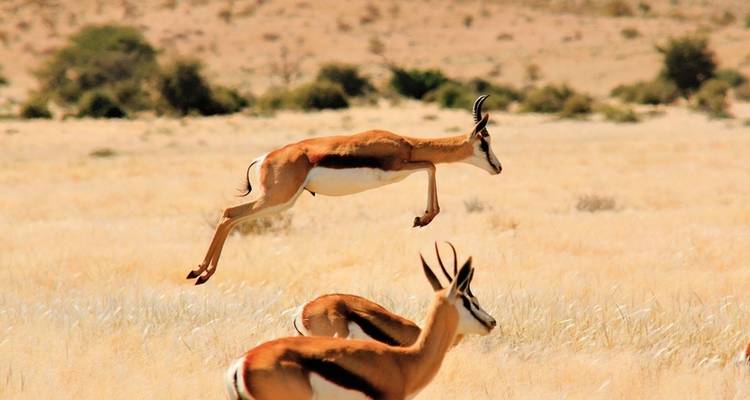 Viaje de ensueño Namibia - DERTOUR 9