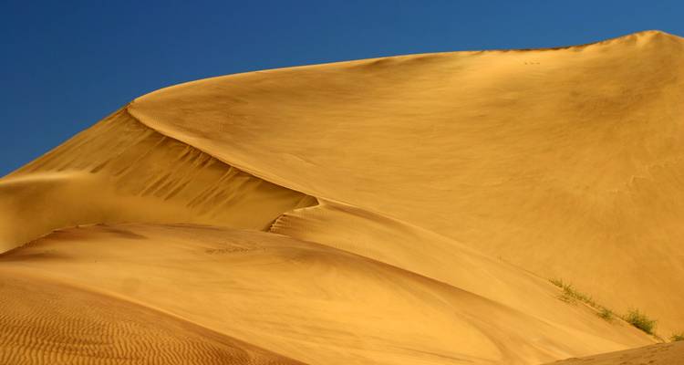 Goldene Sanddünen unter einem klaren blauen Himmel.