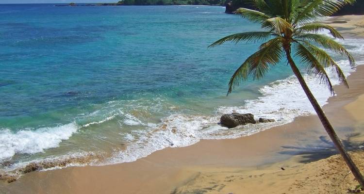 Experiencia de senderismo Dominica - DERTOUR 3