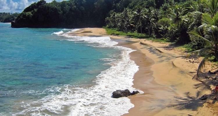 Experiencia de senderismo Dominica - DERTOUR 4