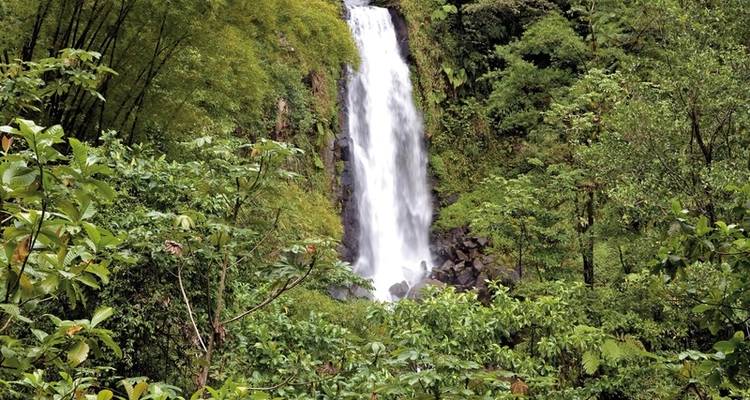 Experiencia de senderismo Dominica - DERTOUR 8