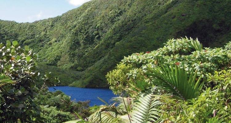 Experiencia de senderismo Dominica - DERTOUR 10