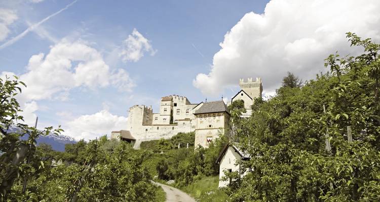 Historisches Schloss auf einem Hügel, umgeben von Grün.