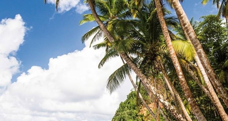 Discover Dominica's treasures for yourself - DERTOUR 2