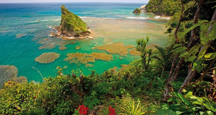 Discover Dominica's treasures for yourself - DERTOUR 8