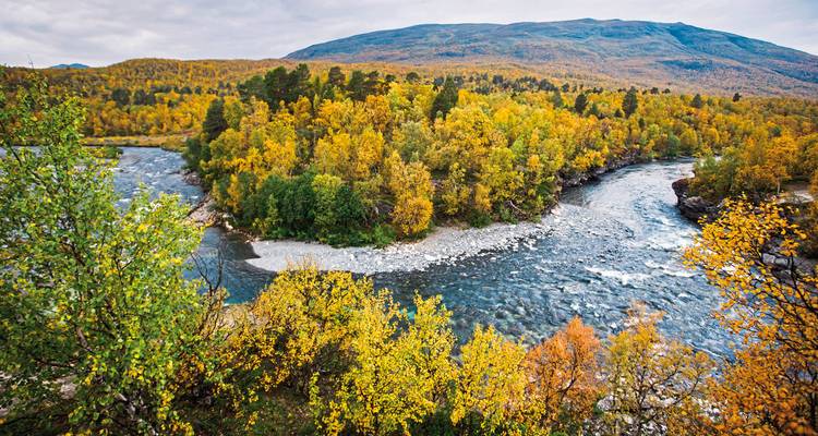 Une rivière serpentant dans une forêt aux couleurs de l'automne.