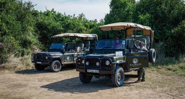 Safari Saadani - DERTOUR 4
