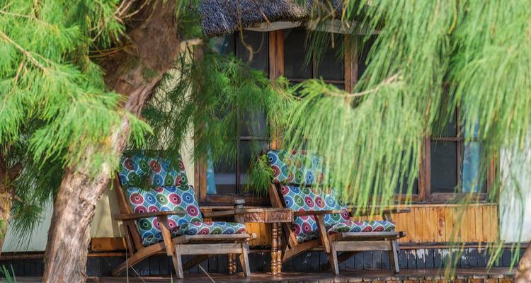 Stühle auf einer Holzterrasse unter einem Baum, neben einem Gebäude.