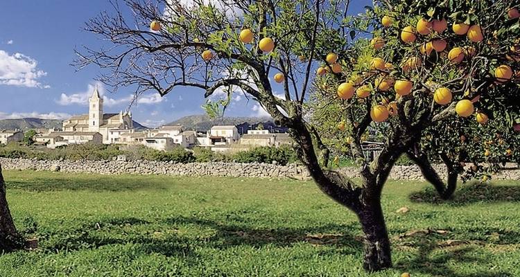 Tour Mallorca - DERTOUR 3