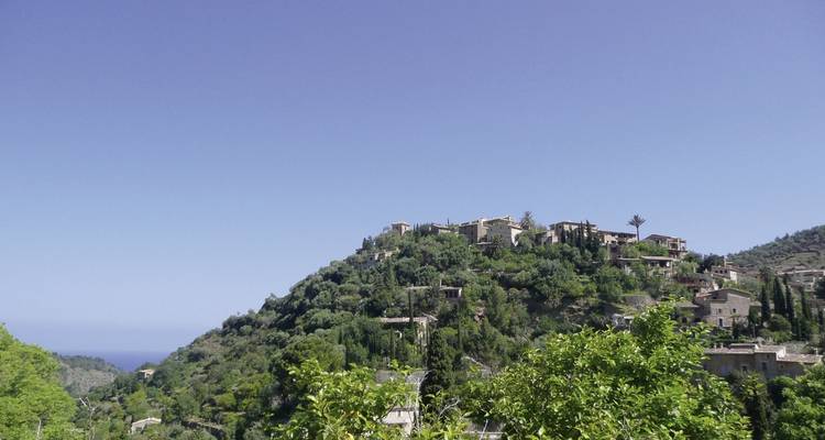 Tour Mallorca - DERTOUR 7