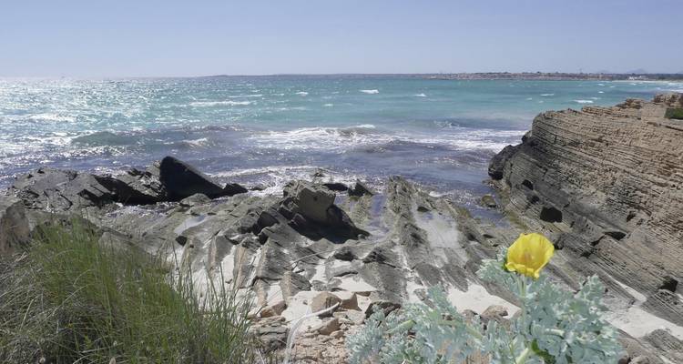 Tour Mallorca - DERTOUR 8
