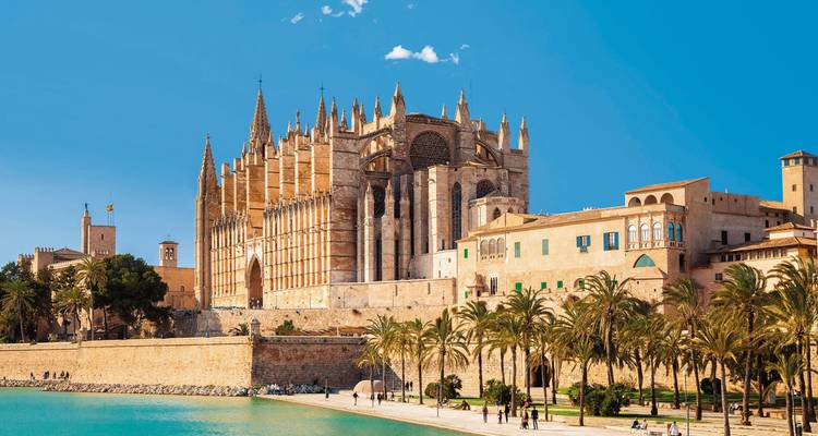 Cathédrale historique avec palmiers à Majorque.