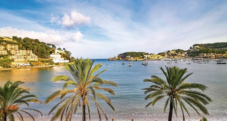 Vue sur la plage avec palmiers et collines lointaines dans une baie.
