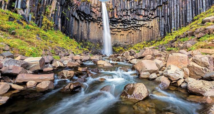 Basaltwasserfall mit einem steinigen Bach in Svartifoss, Island.