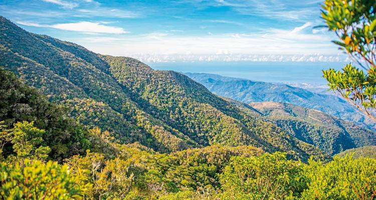 Lush green mountains meeting the sea coastline.
