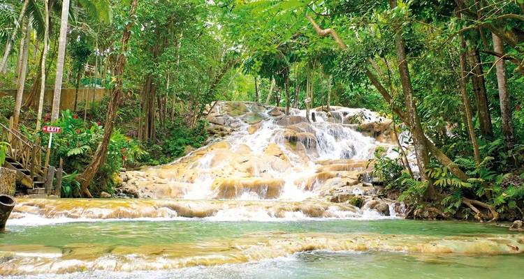 Cascading waterfall in a dense tropical forest setting.