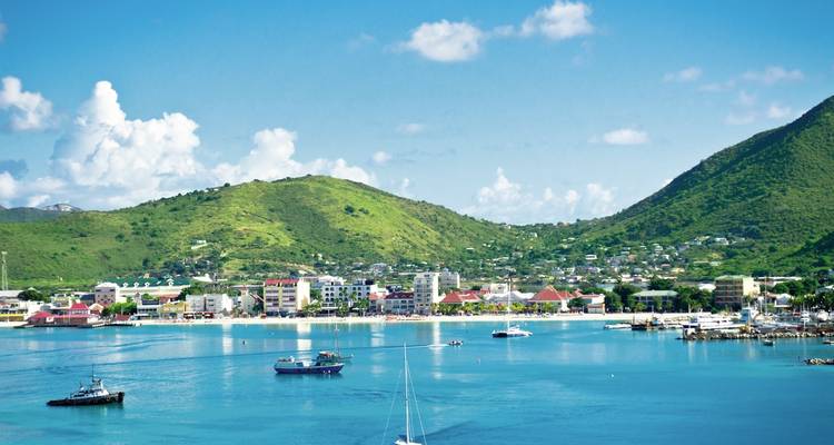 Coastal town with lush green hills and harbor.
