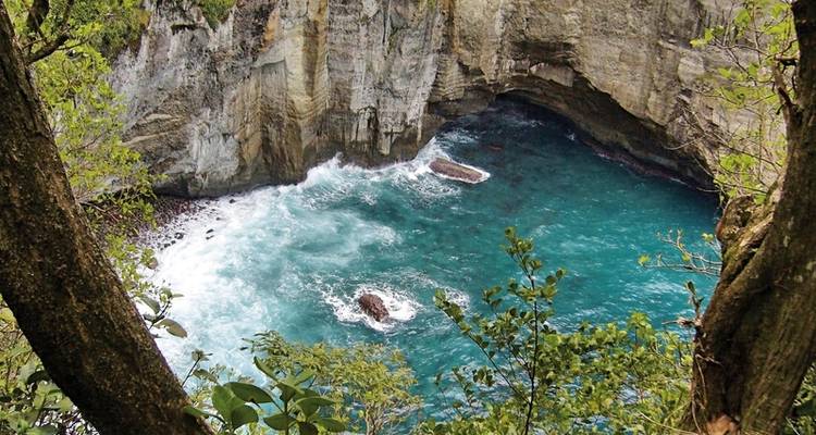 Découverte de la nature en Dominique - DERTOUR 1