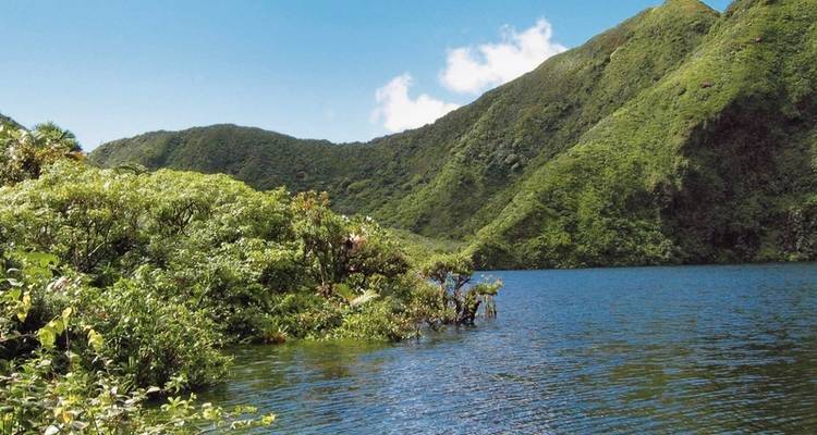 Découverte de la nature en Dominique - DERTOUR 4