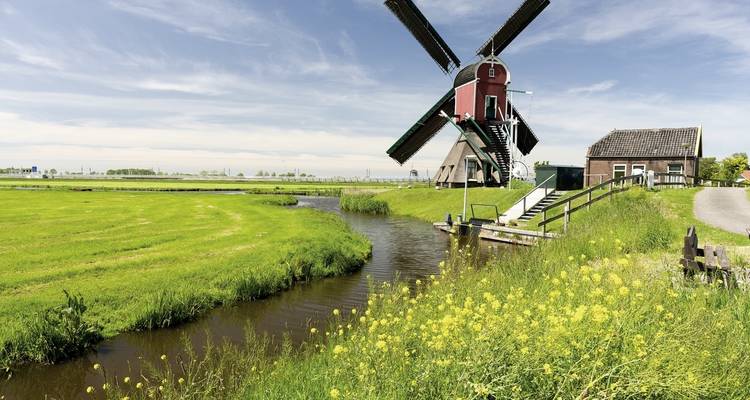 MS Normandie - South Holland - DERTOUR 6