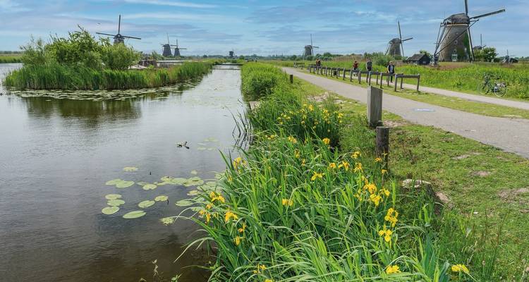 MS Normandie - South Holland - DERTOUR 9