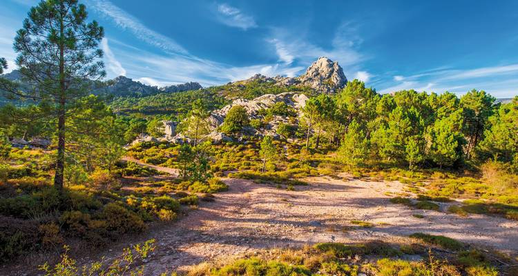 Eine malerische Berglandschaft mit Bäumen und einem klaren Himmel.