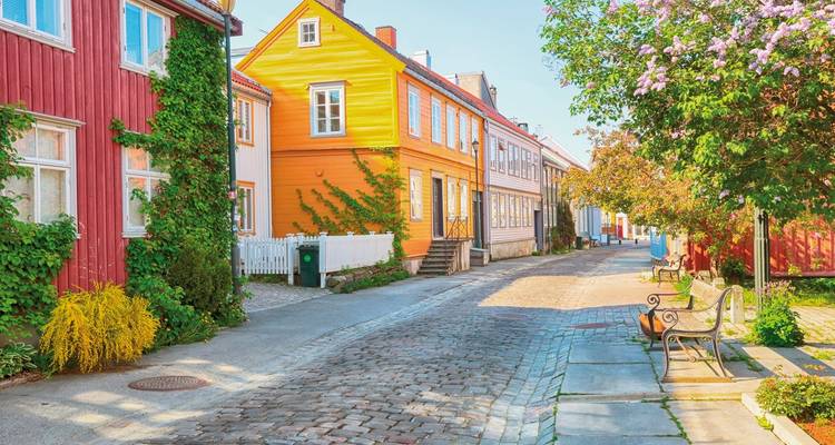 Grand Tour of Southern Norway - DERTOUR 4
