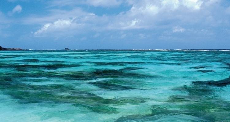 Saut d'île aux Seychelles (Hôtels : classe moyenne, transferts standard, 8 nuits) - DERTOUR 5
