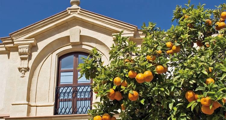 The best of Andalusia - DERTOUR 3