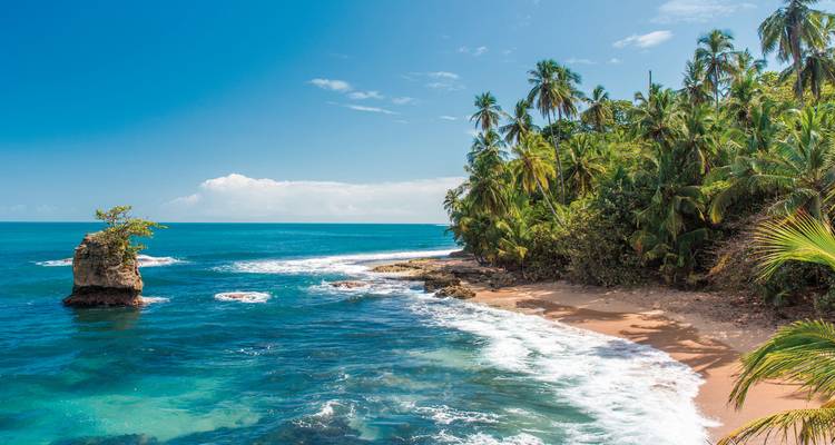 Plage tropicale idyllique avec des eaux turquoise et des palmiers.