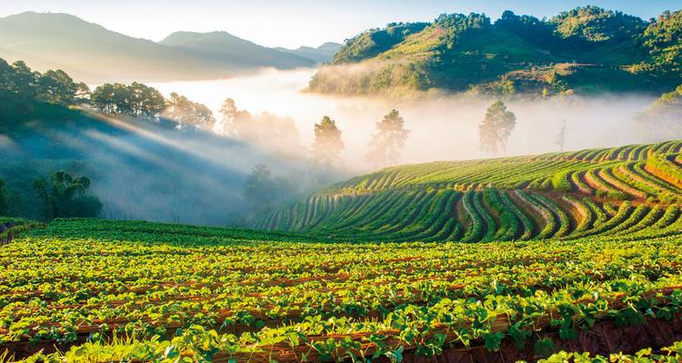 Scenic landscape with sun rays over green fields and hills.